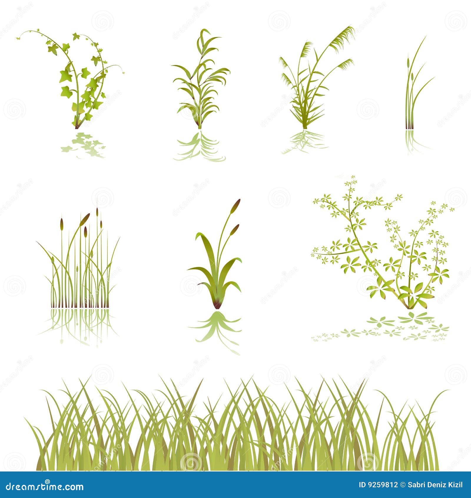 Flower And Bushes Vector Stock Photography - Image: 9259812