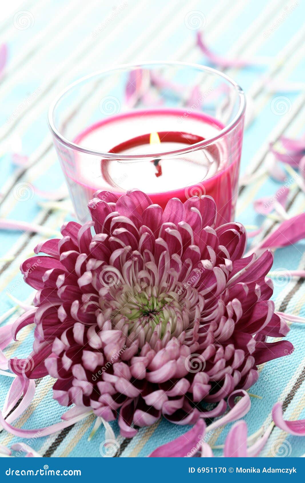 Flower and candle stock photo. Image of fresh, pleasure 6951170