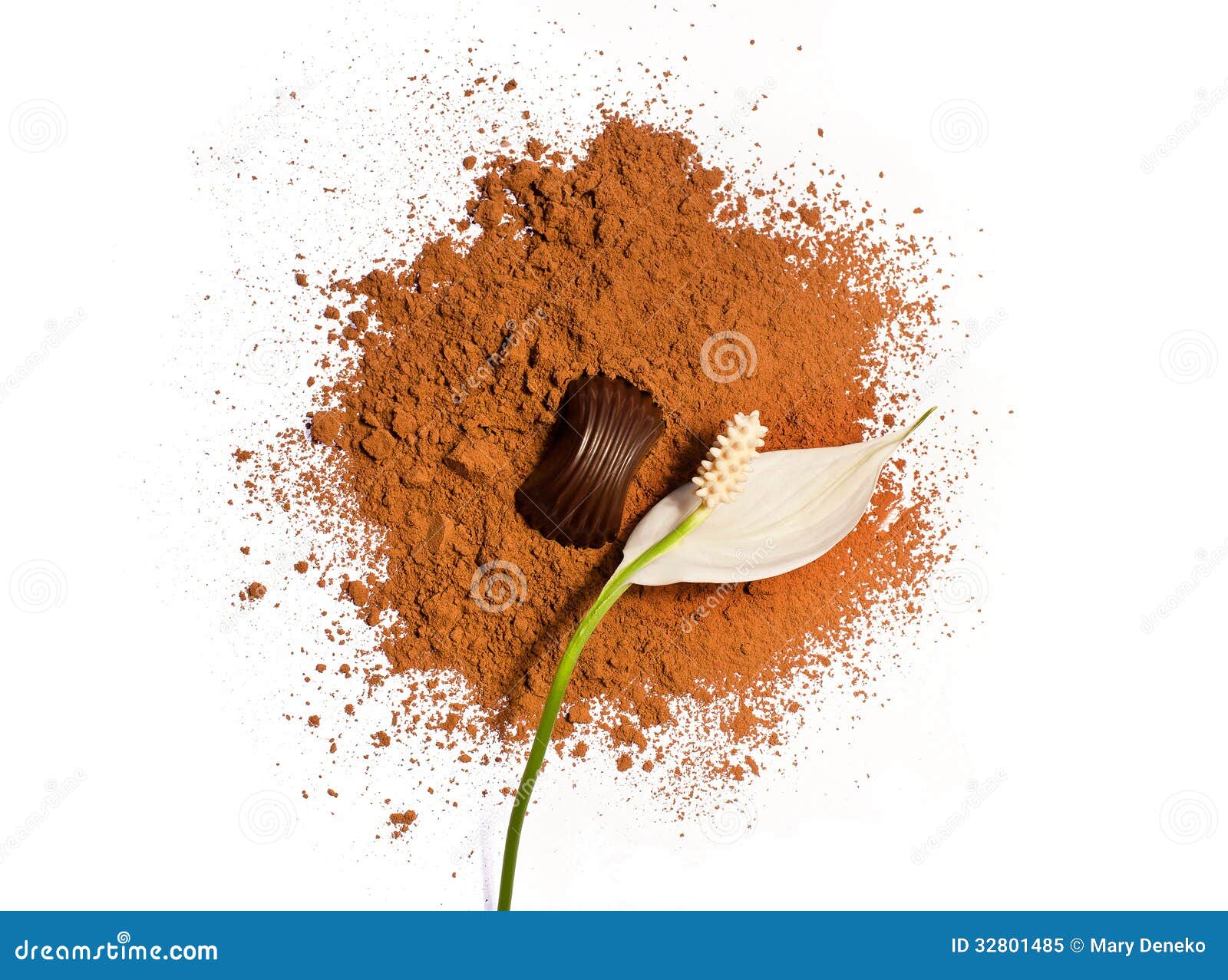 Flower and Candy on a Cocoa Powder Stock Image Image of health