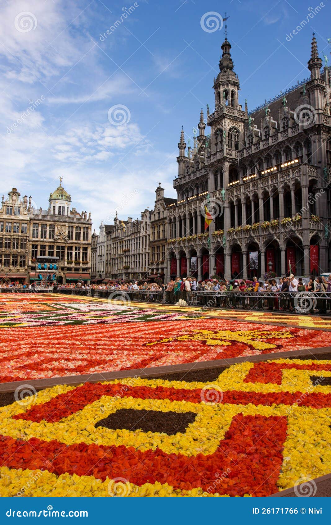 865 Flower Carpet Brussels Stock Photos - Free & Royalty-Free ...