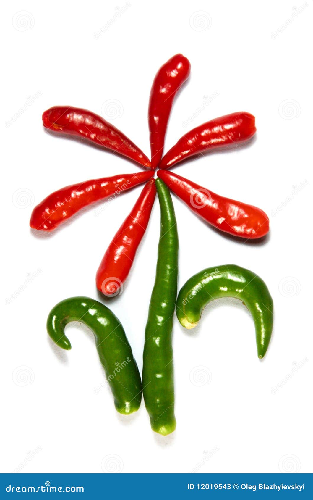 Flower from chili pepper stock image. Image of close 12019543