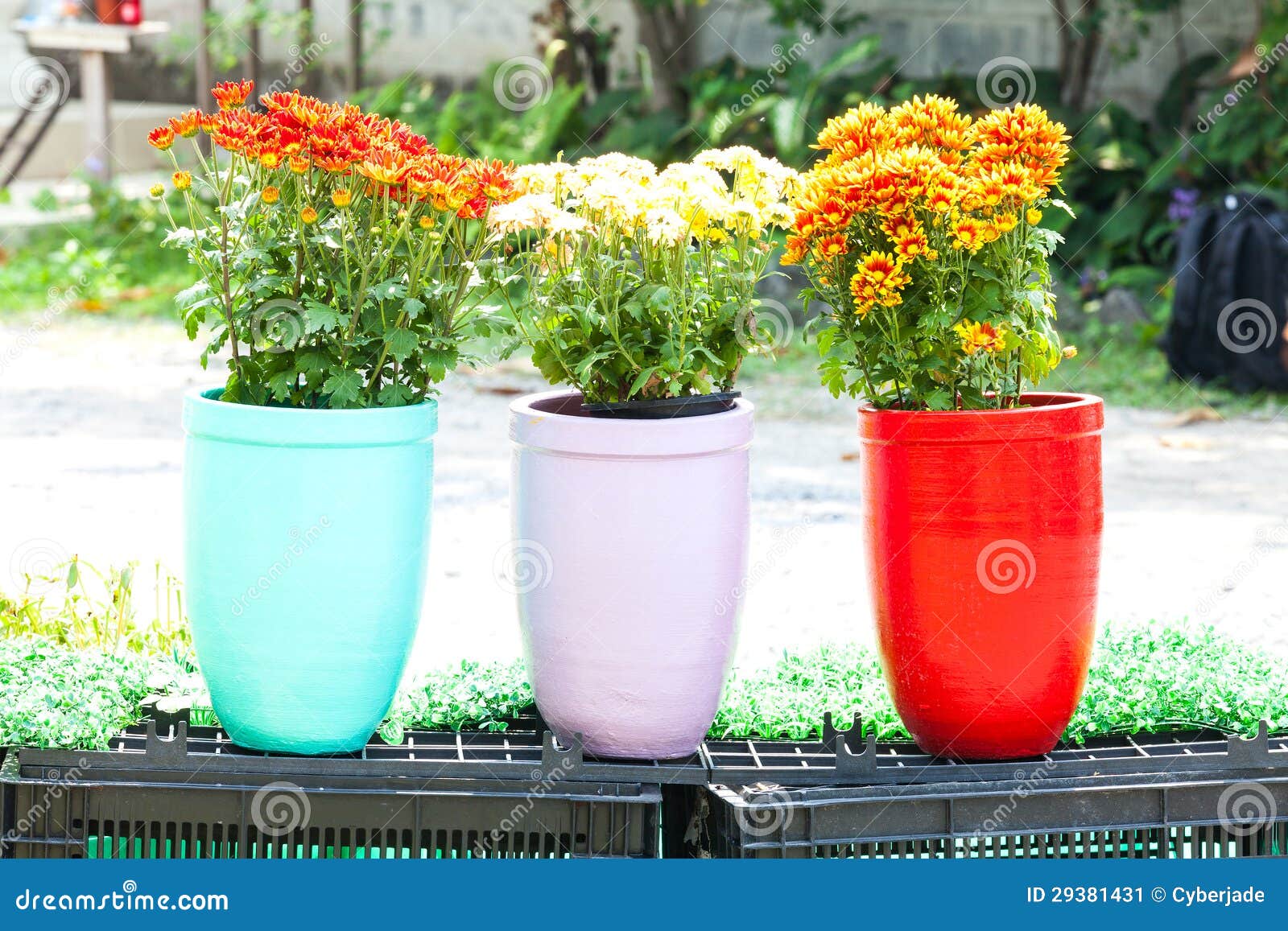 Flower clay pot stock image. Image of plant, painting 29381431