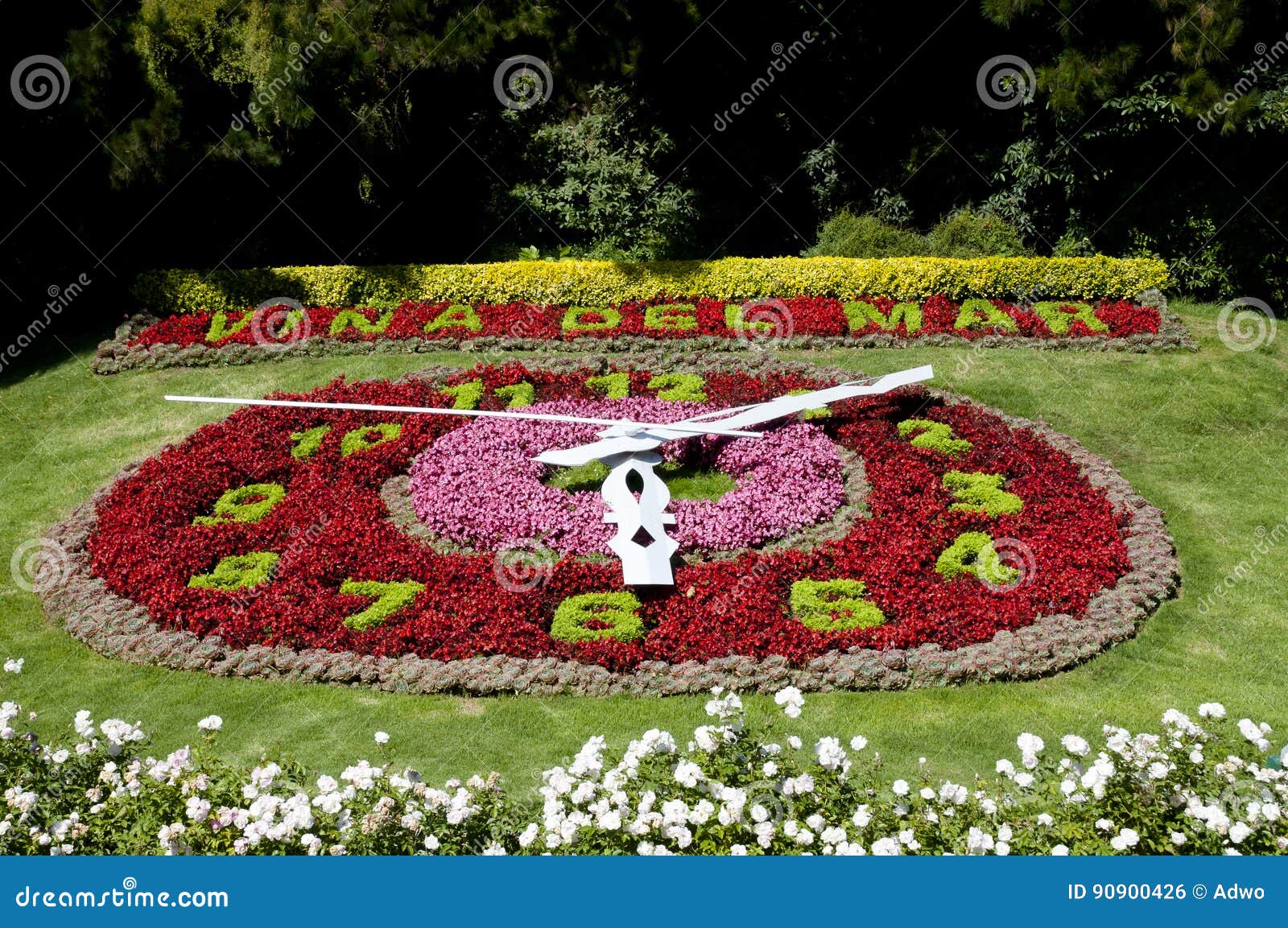 Flower Clock Vina Del Mar Chile Stock Photo Image of grass, plant