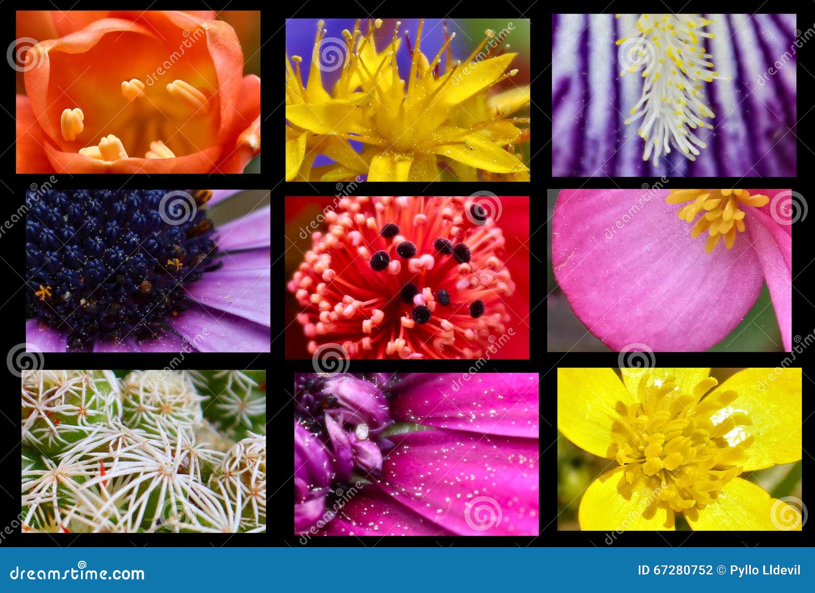 flower composition