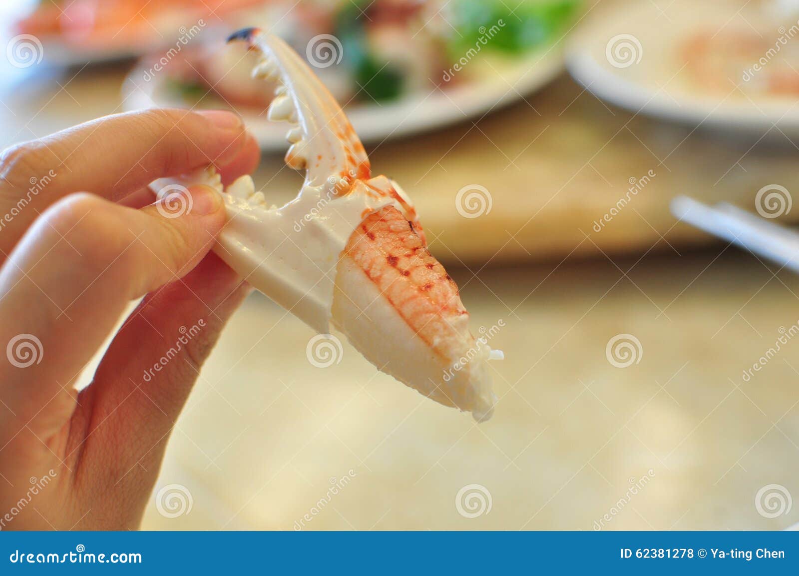 Flower crab leg stock photo. Image of delicious, shell 62381278