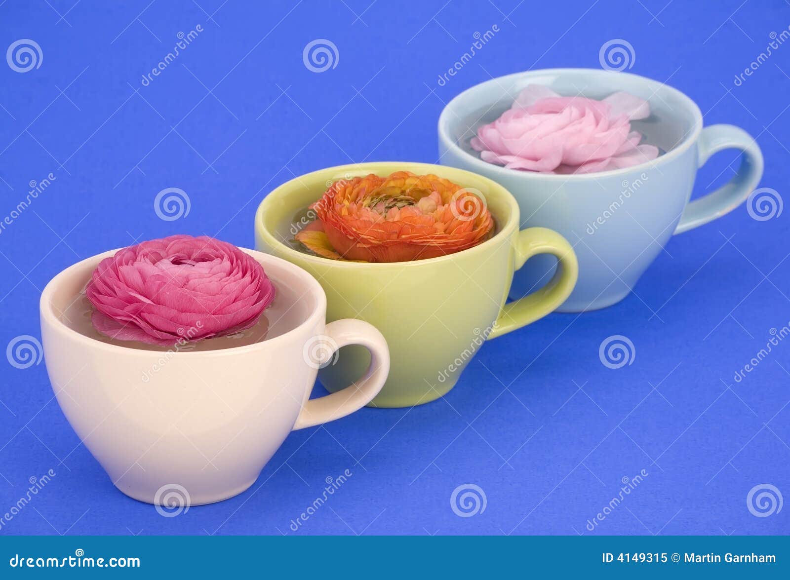 Flower cups. stock image. Image of bloom, blue, colored 4149315