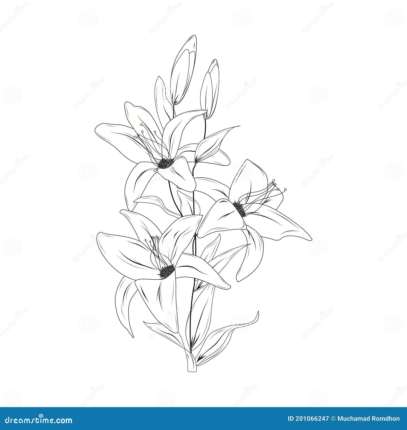 Flower Drawing with Black and White Line-Art Stock Vector ...