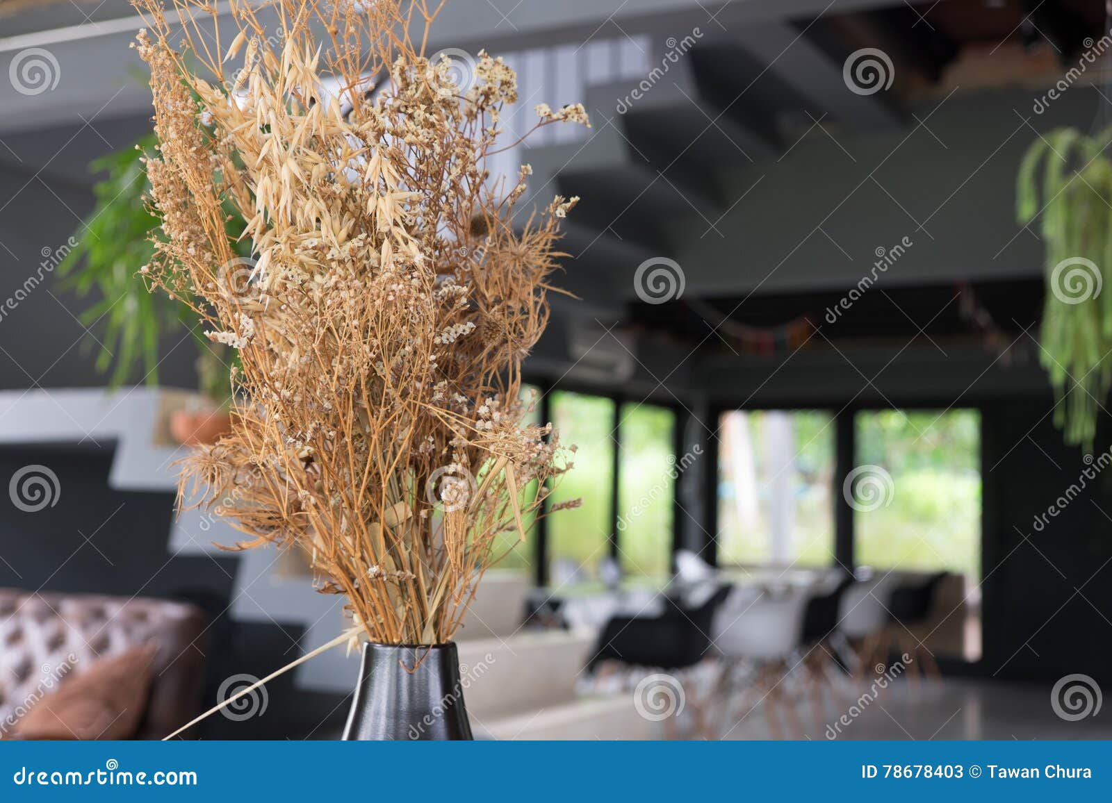 Flower dry stock image. Image of house, home, indoor 78678403