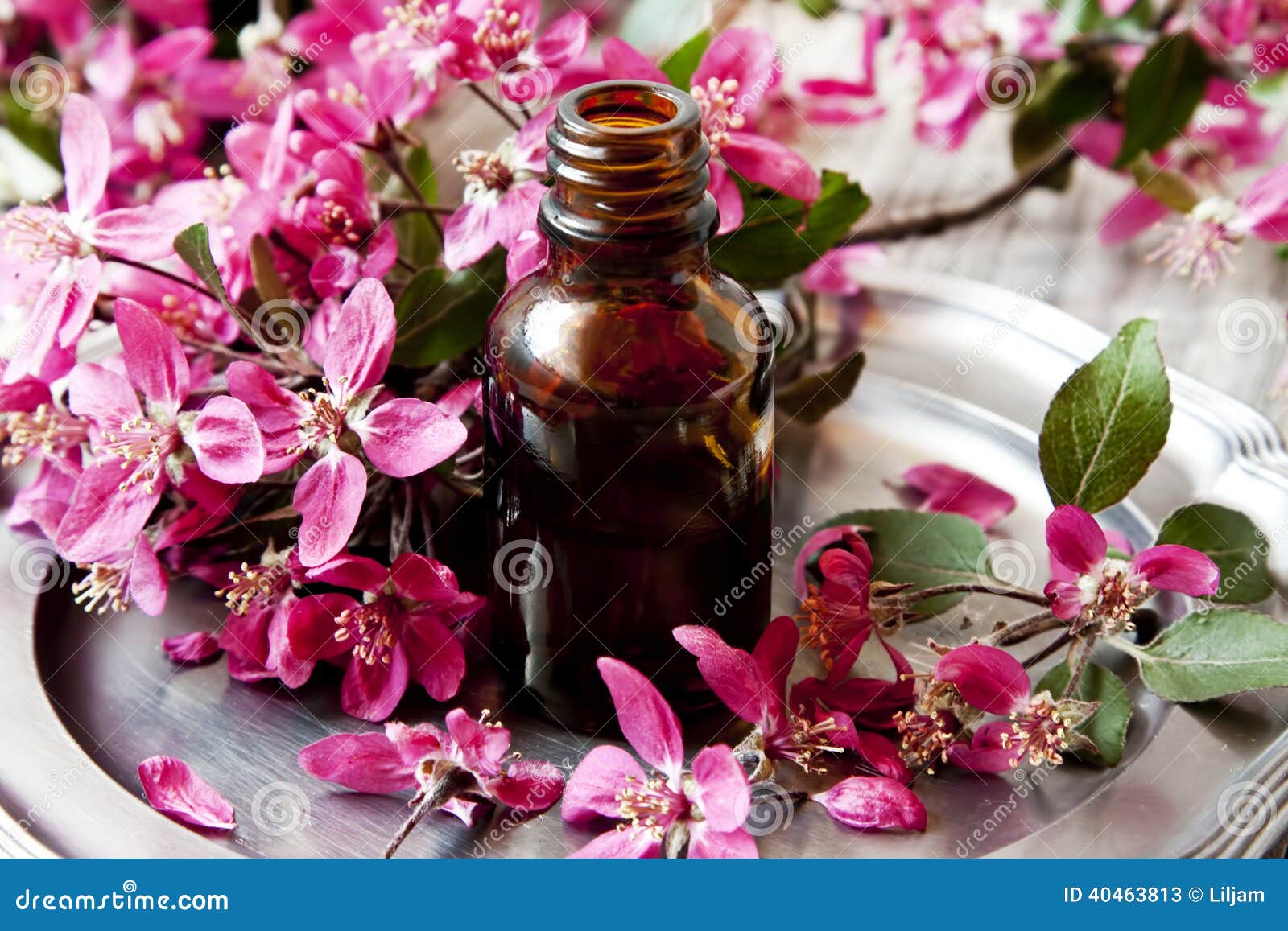 Flower Essence stock image. Image of natural, bottle 40463813