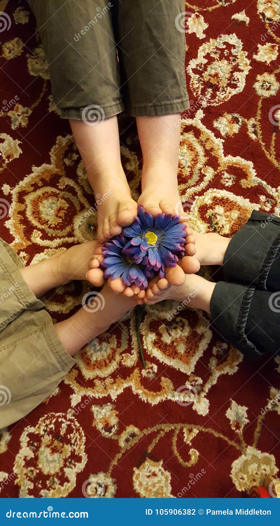 Flower Feet stock photo. Image of flowers, flower, inside 105906382