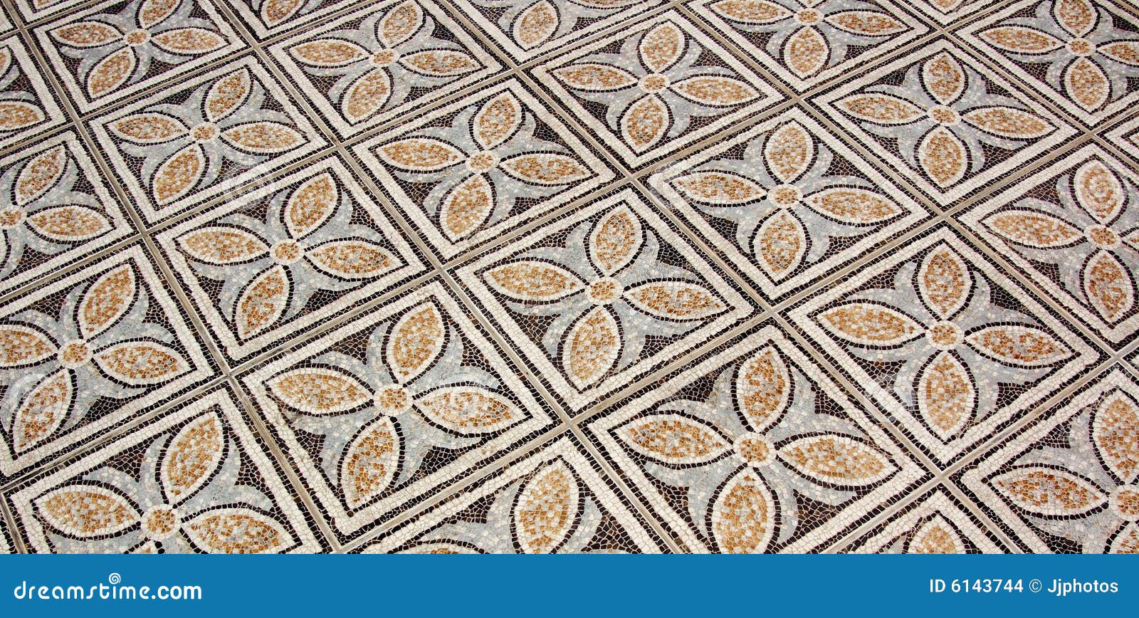 Flower Floor Tiles Stock Images Image 6143744