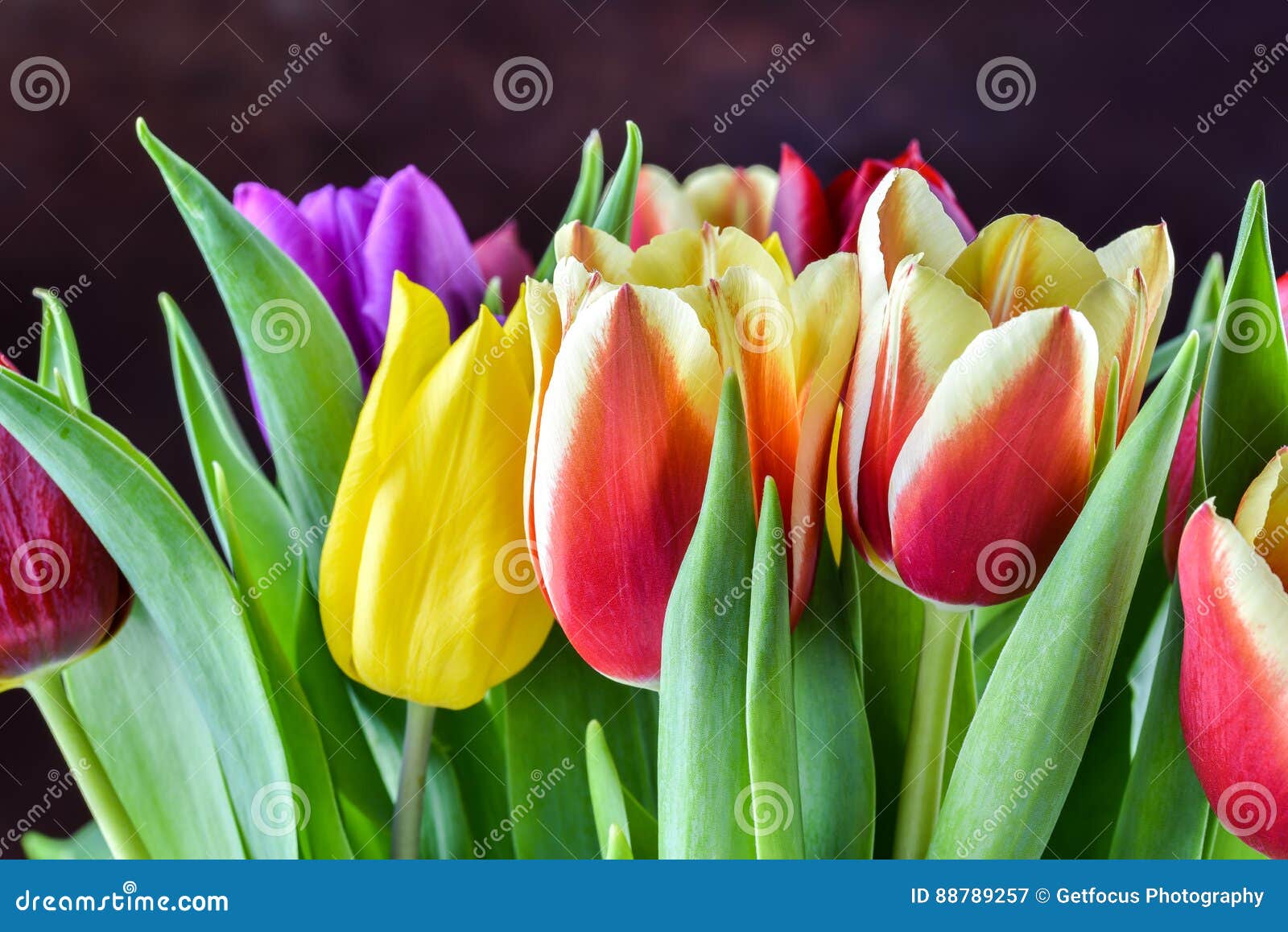 Flower Frame Border stock image. Image of nature, assorted - 88789257