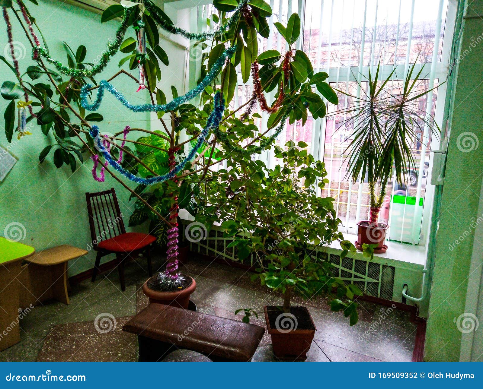 Flower Gallery Flowers Near the Window Stock Photo Image of plants