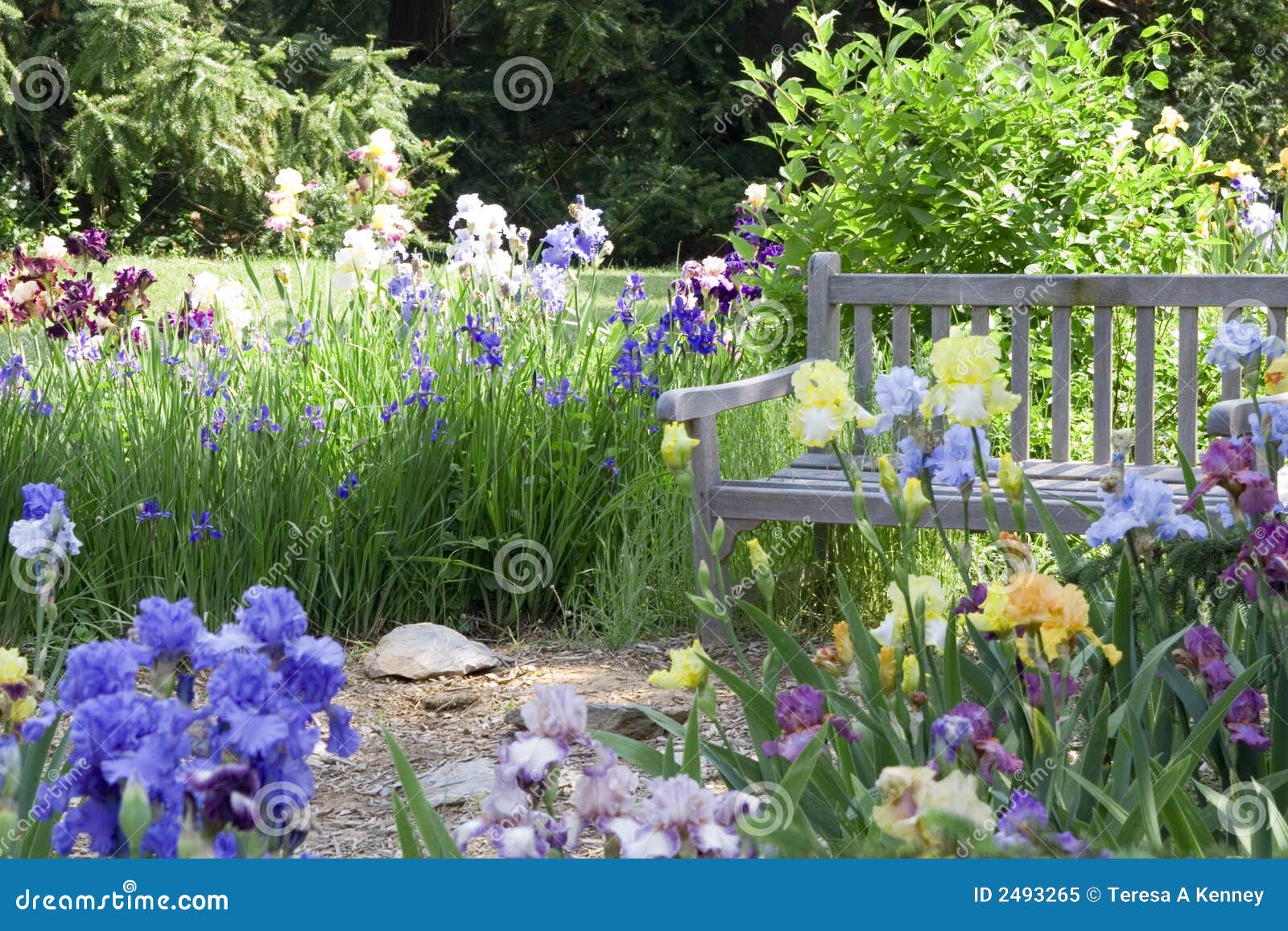 Flower Garden Royalty Free Stock Photo - Image: 2493265