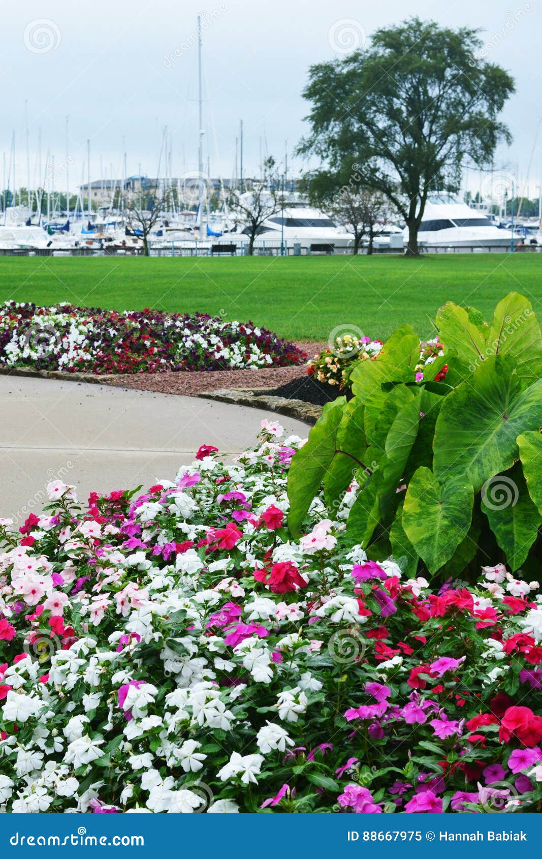 Flower Garden Eichelman Park Kenosha Wisconsin Stock Image