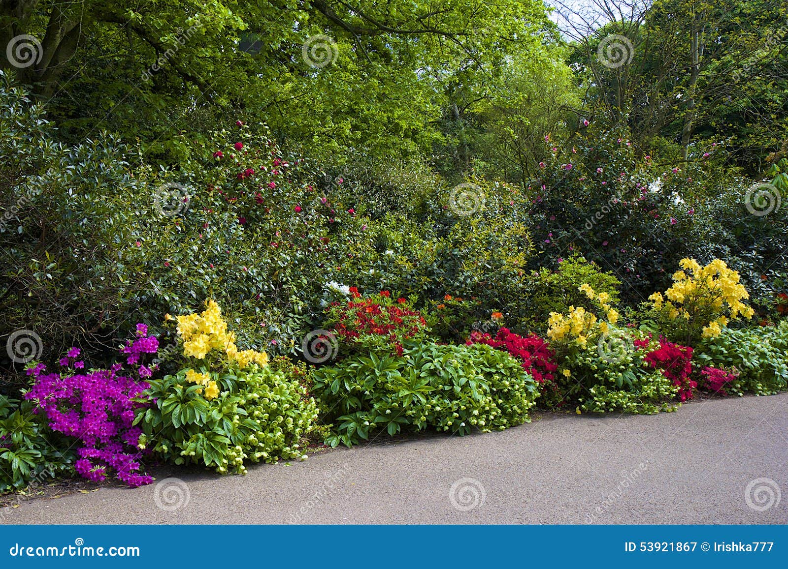 flower garden in greenwich park, london stock image - image of