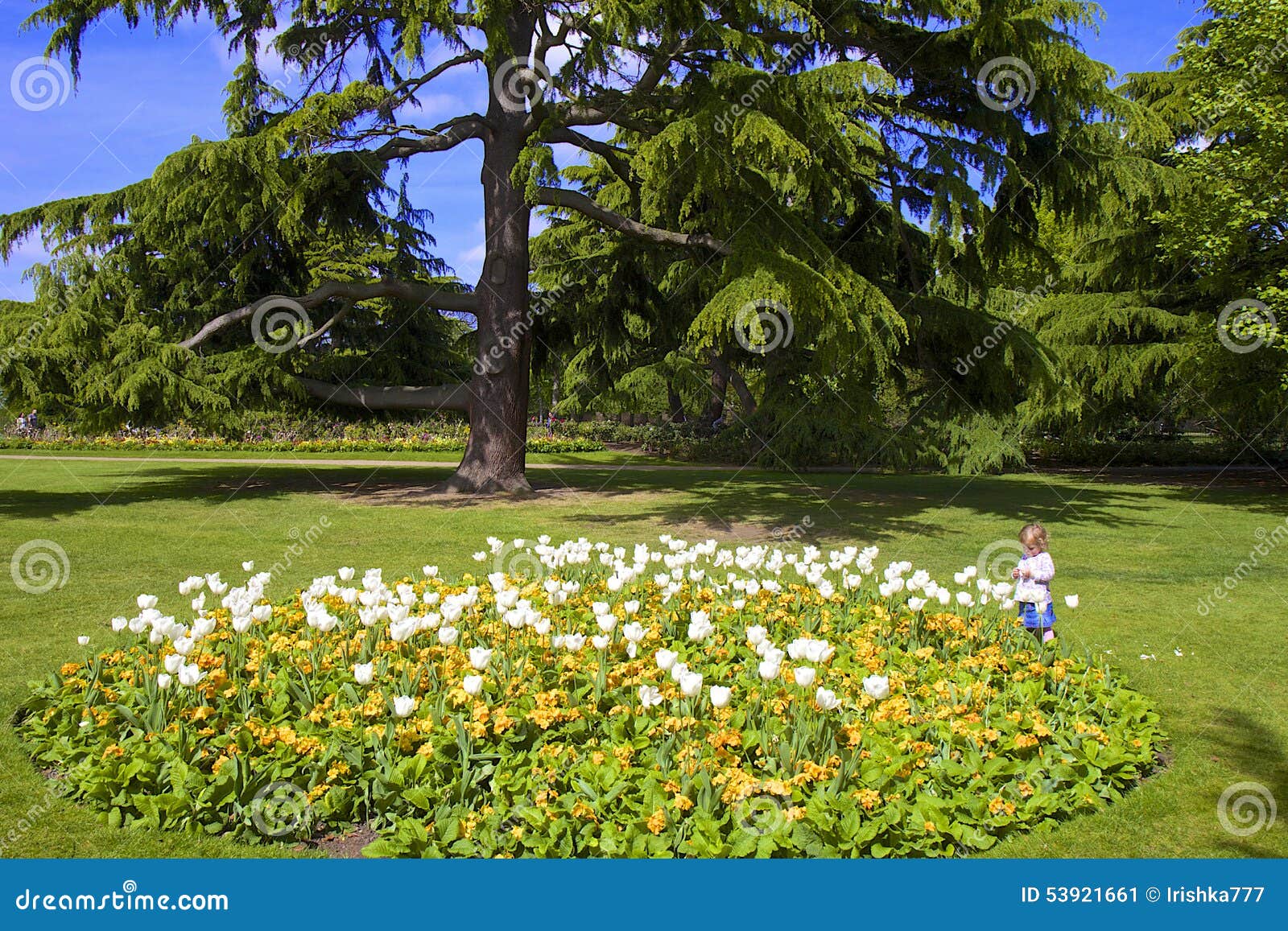 flower garden in greenwich park, london editorial photo - image of