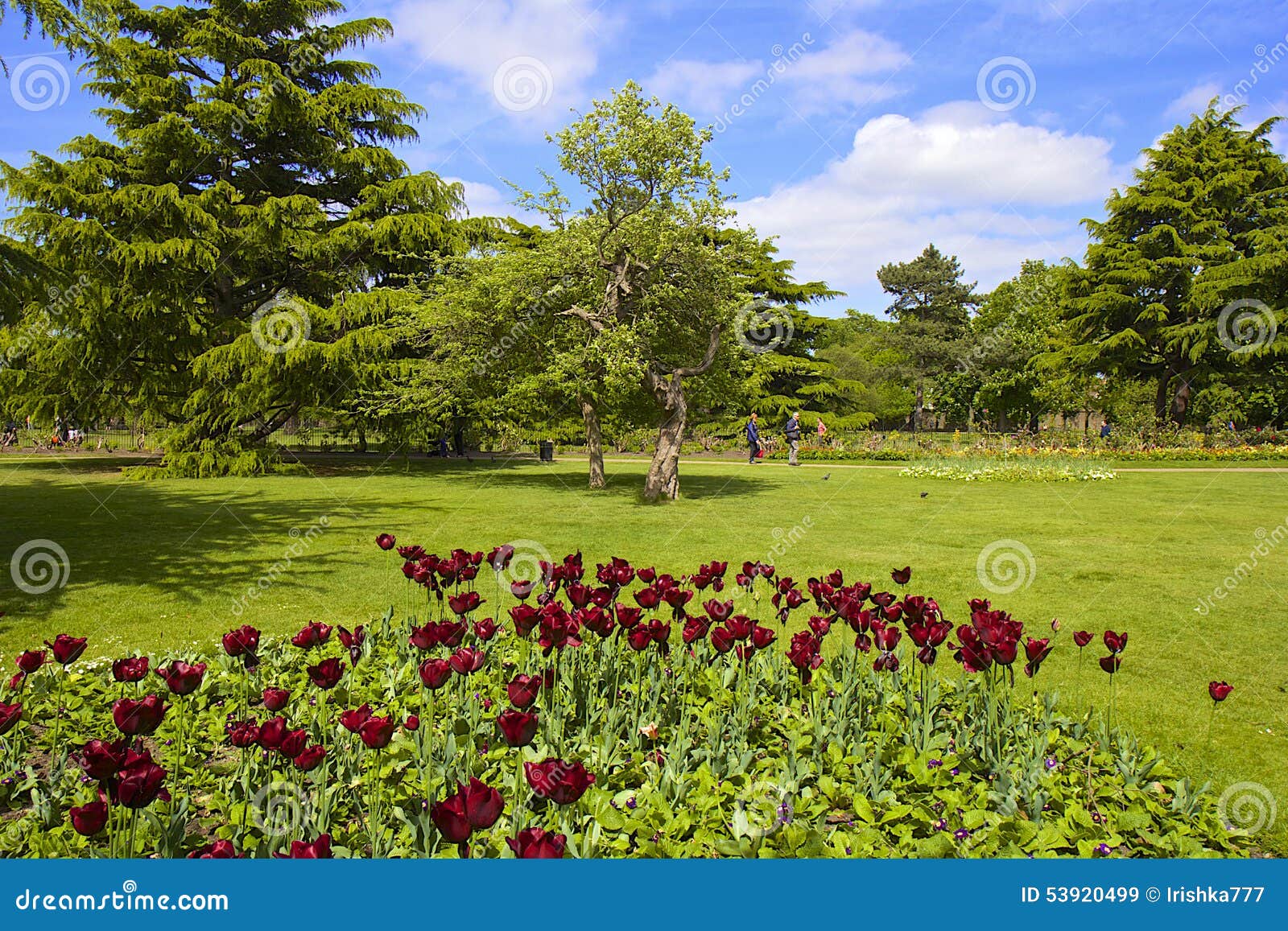 flower garden in greenwich park, london editorial stock image
