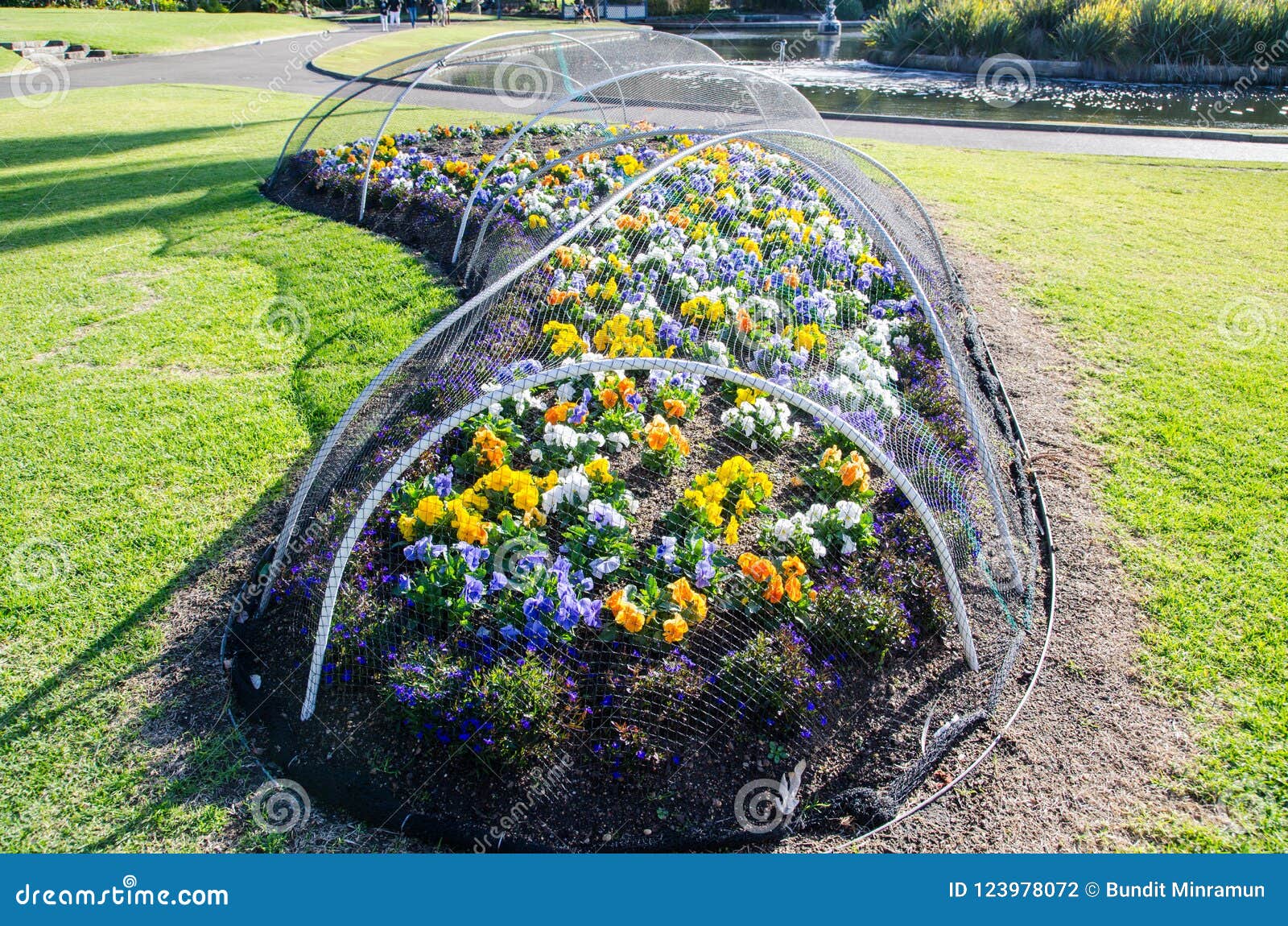 The Flower Garden Has Protected By Cover Up With Bird Netting