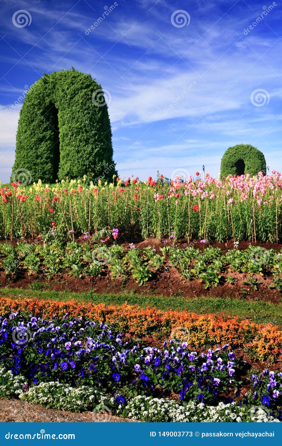 Flower garden stock image. Image of natural, beautiful 149003773