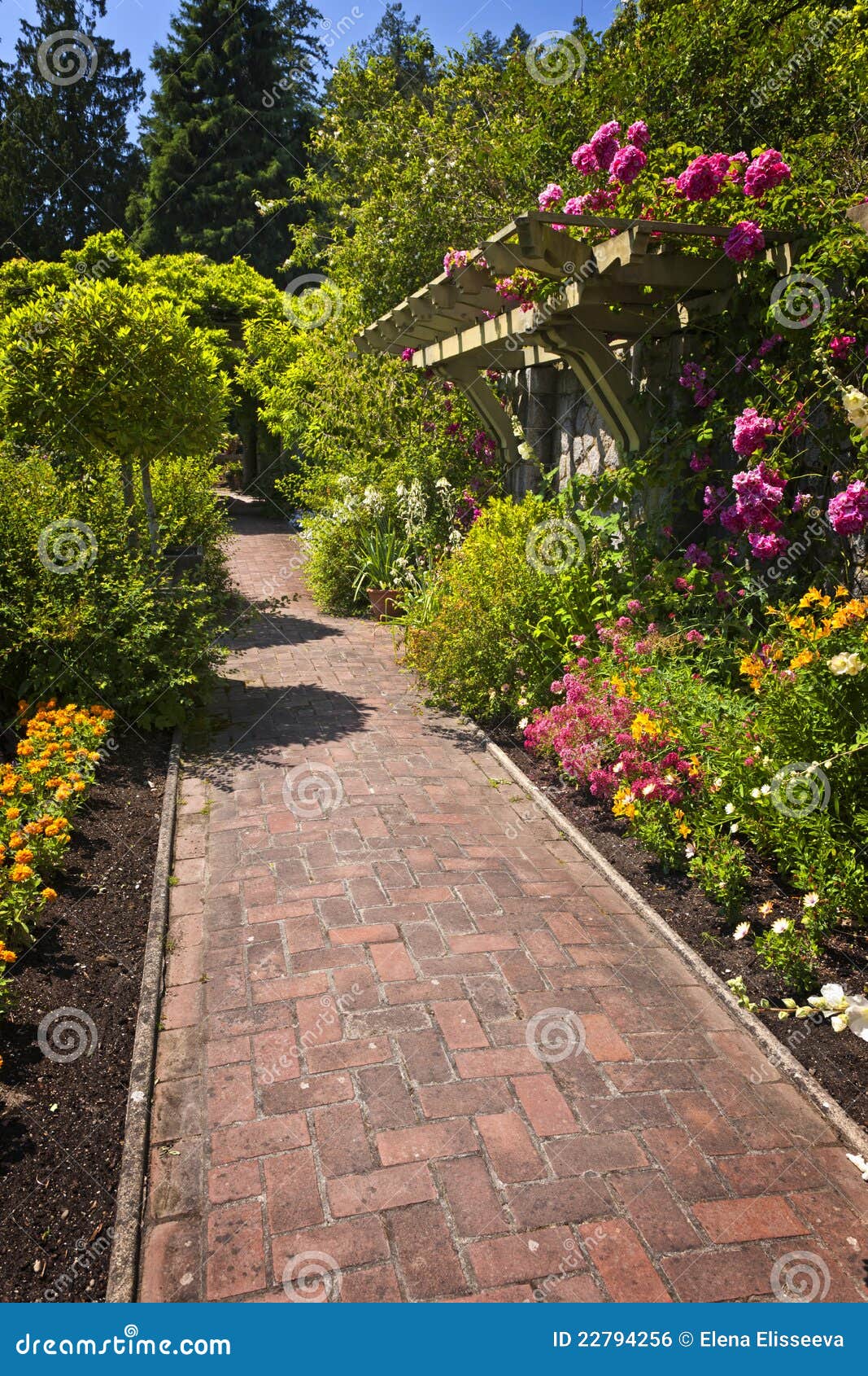 flower garden paved path 22794256