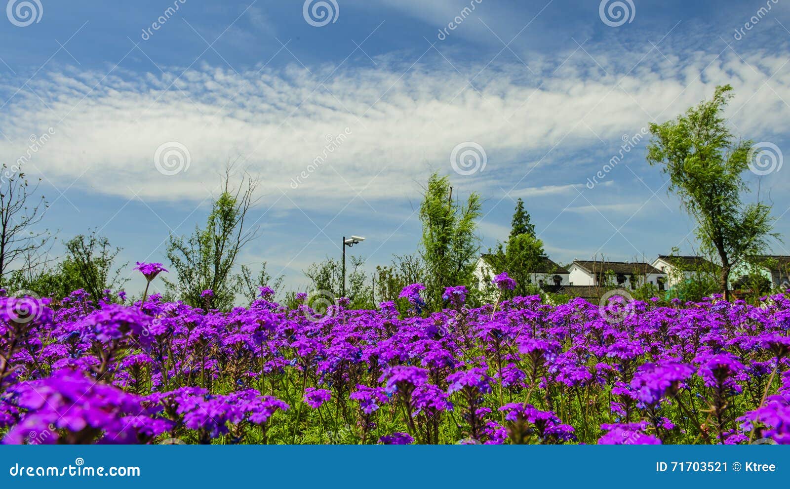 Flower garden in spring stock image. Image of nature 71703521