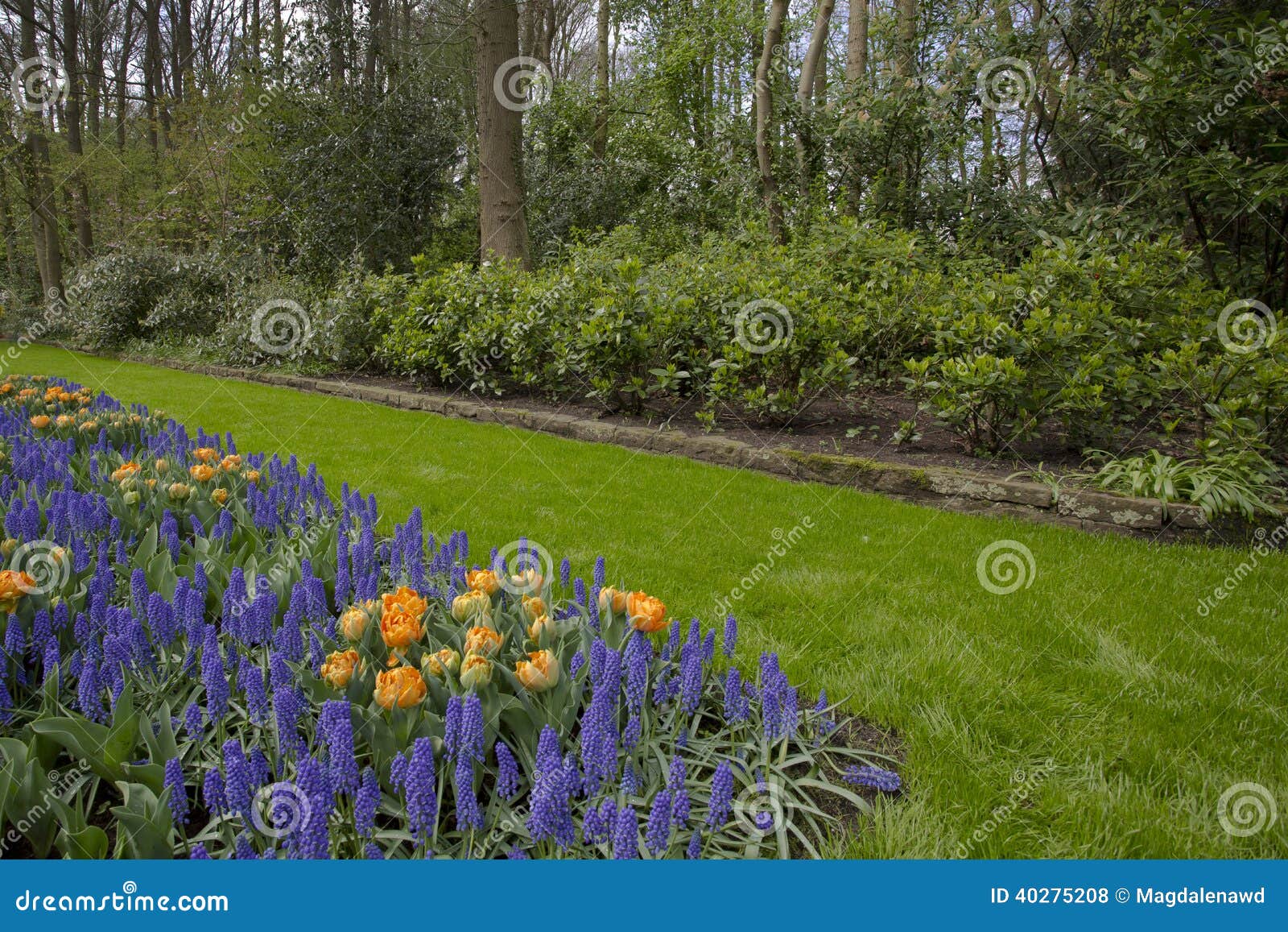 Flower garden in spring stock photo. Image of botany 40275208