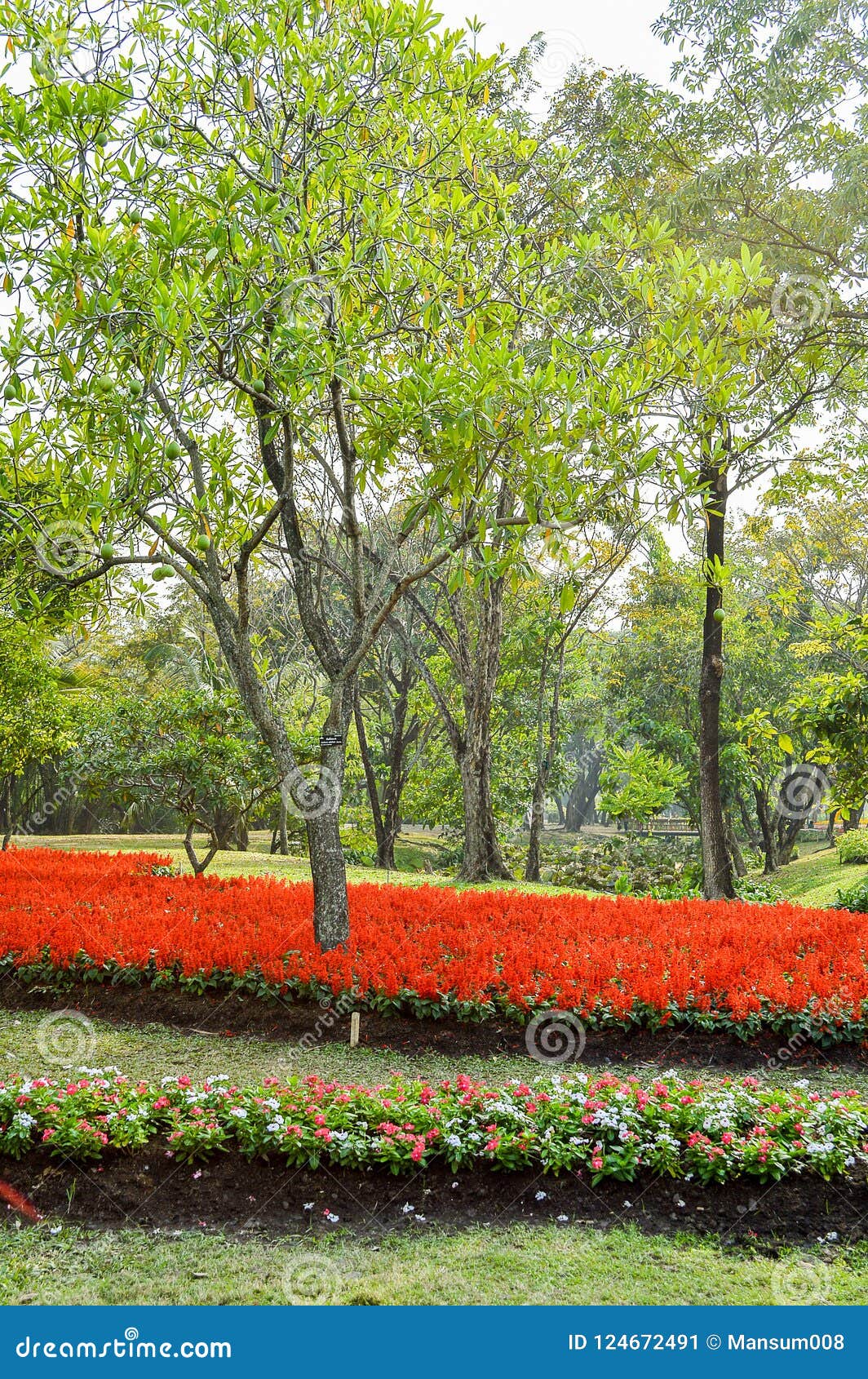 Flower garden in thailand stock image. Image of garden 124672491