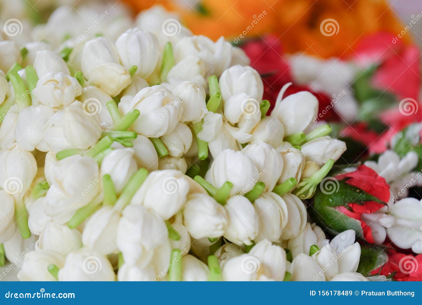 jasmine garland as a gift to my mother.