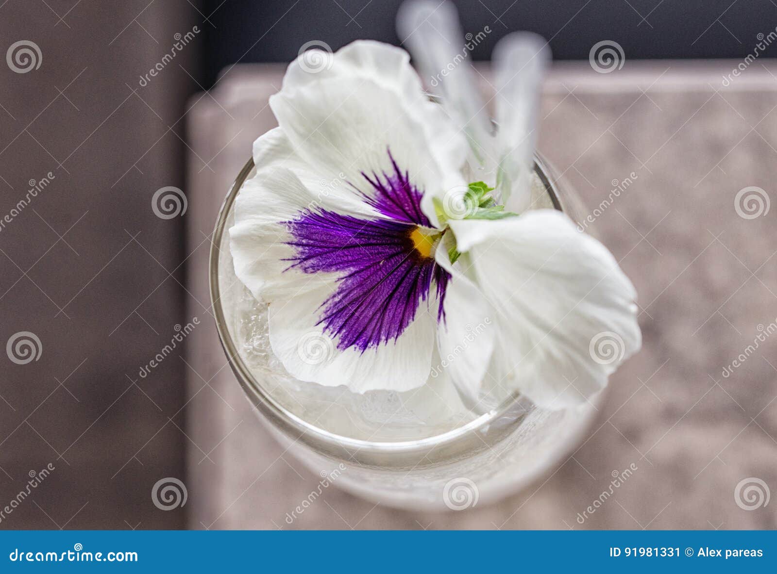 A flower garnishing a clear cocktail with straw from above