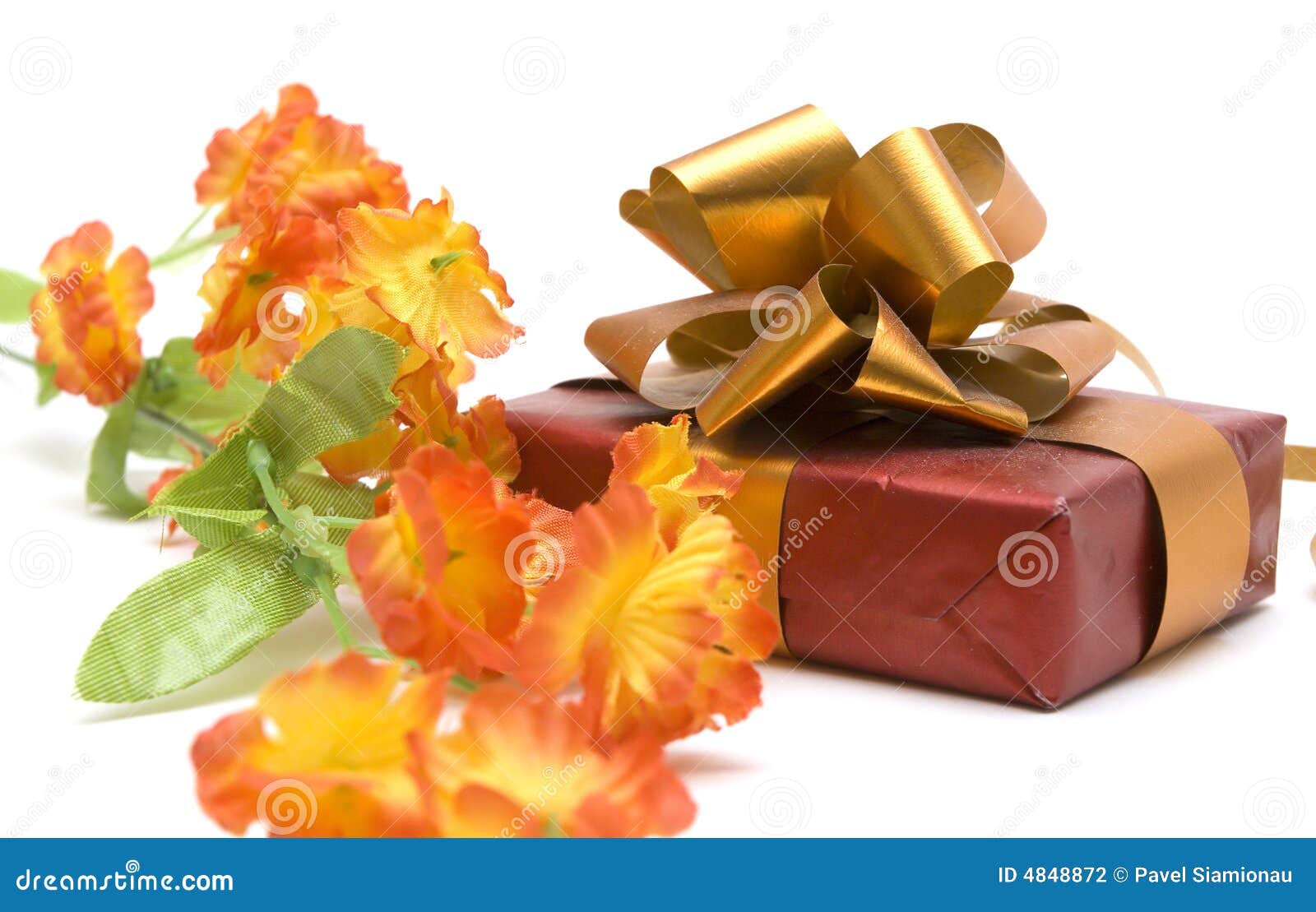 Flower and gift stock photo. Image of luxury, object, decoration 4848872