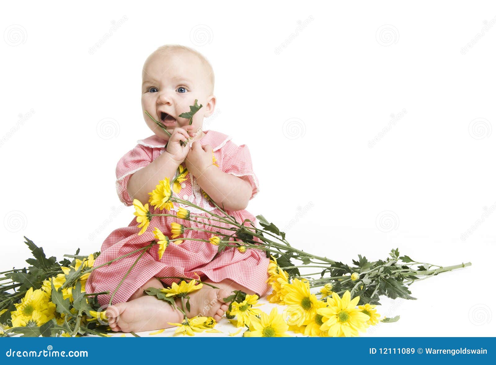 Flower girl stock image. Image of flower, eyes, beautiful 12111089