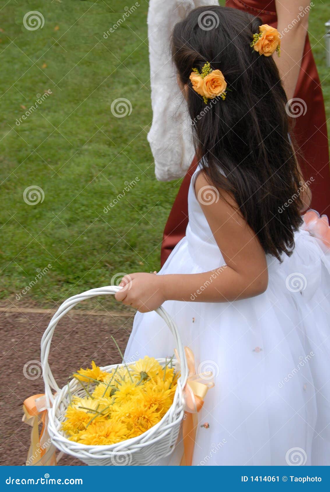Flower girl stock image. Image of girl, ceremony, decoration 1414061