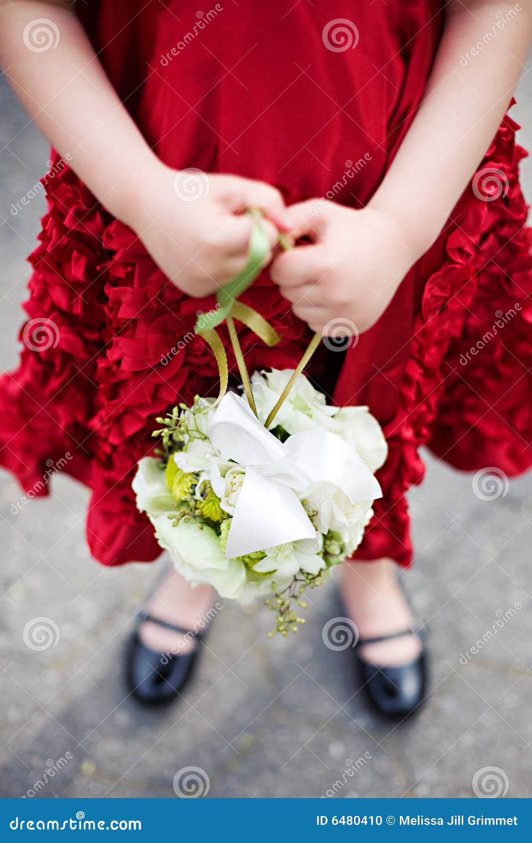 Flower Girl in a Red Dress stock photo. Image of hold 6480410