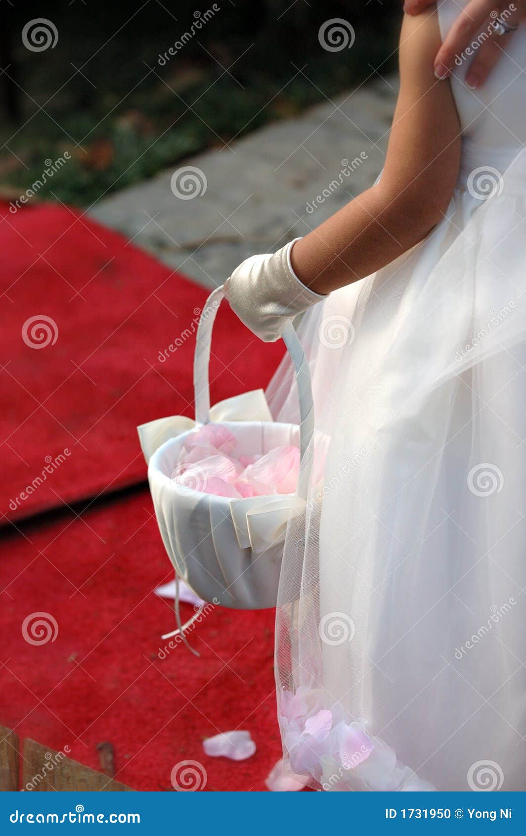 Flower Girl at a Wedding stock photo. Image of looking 1731950