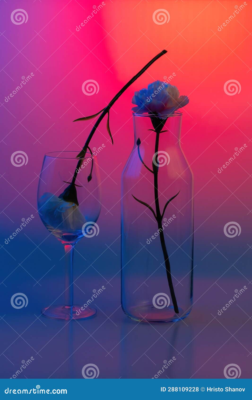 Flower in Glass Bottle for Decoration Background Stock Photo Image of