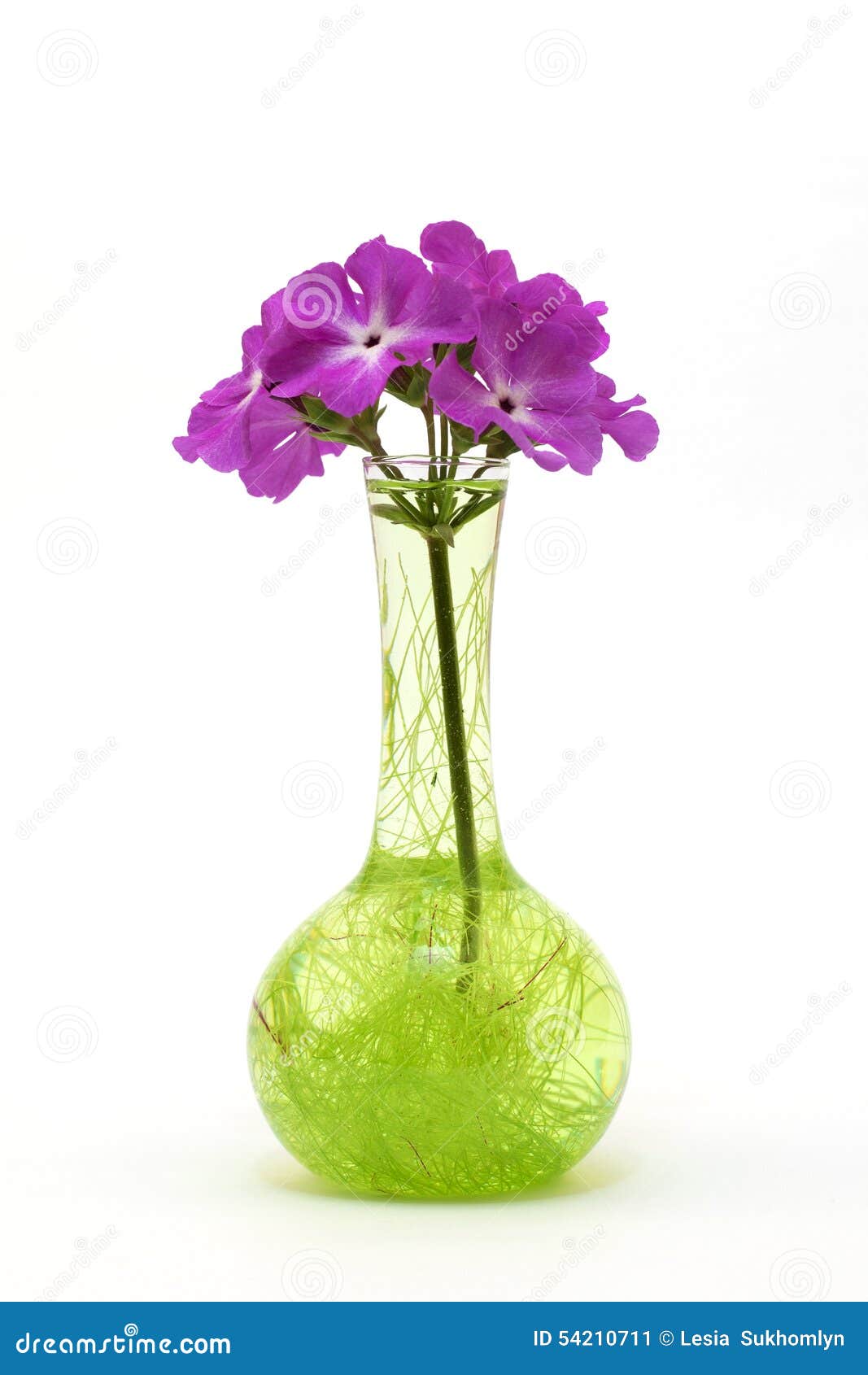 Flower in a glass vase stock image. Image of arrangement 54210711