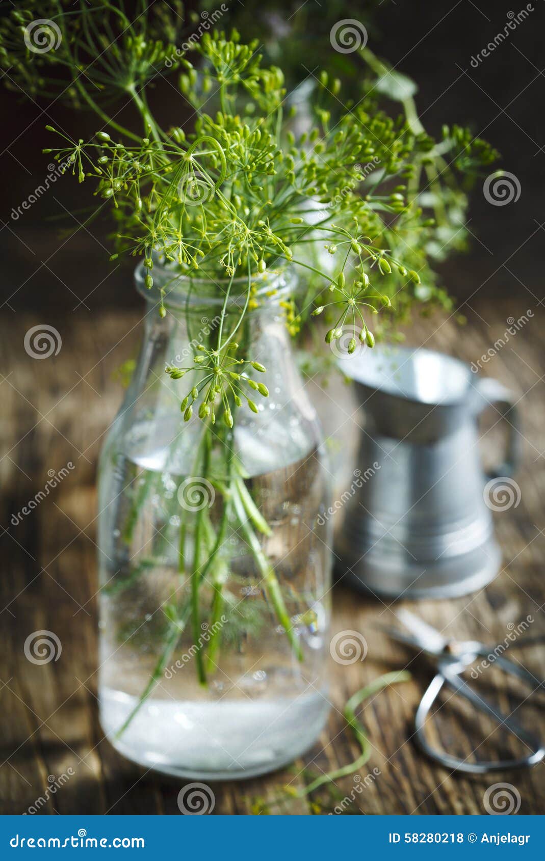 Flower of Green Dill. Fennel Stock Photo Image of herb, head 58280218
