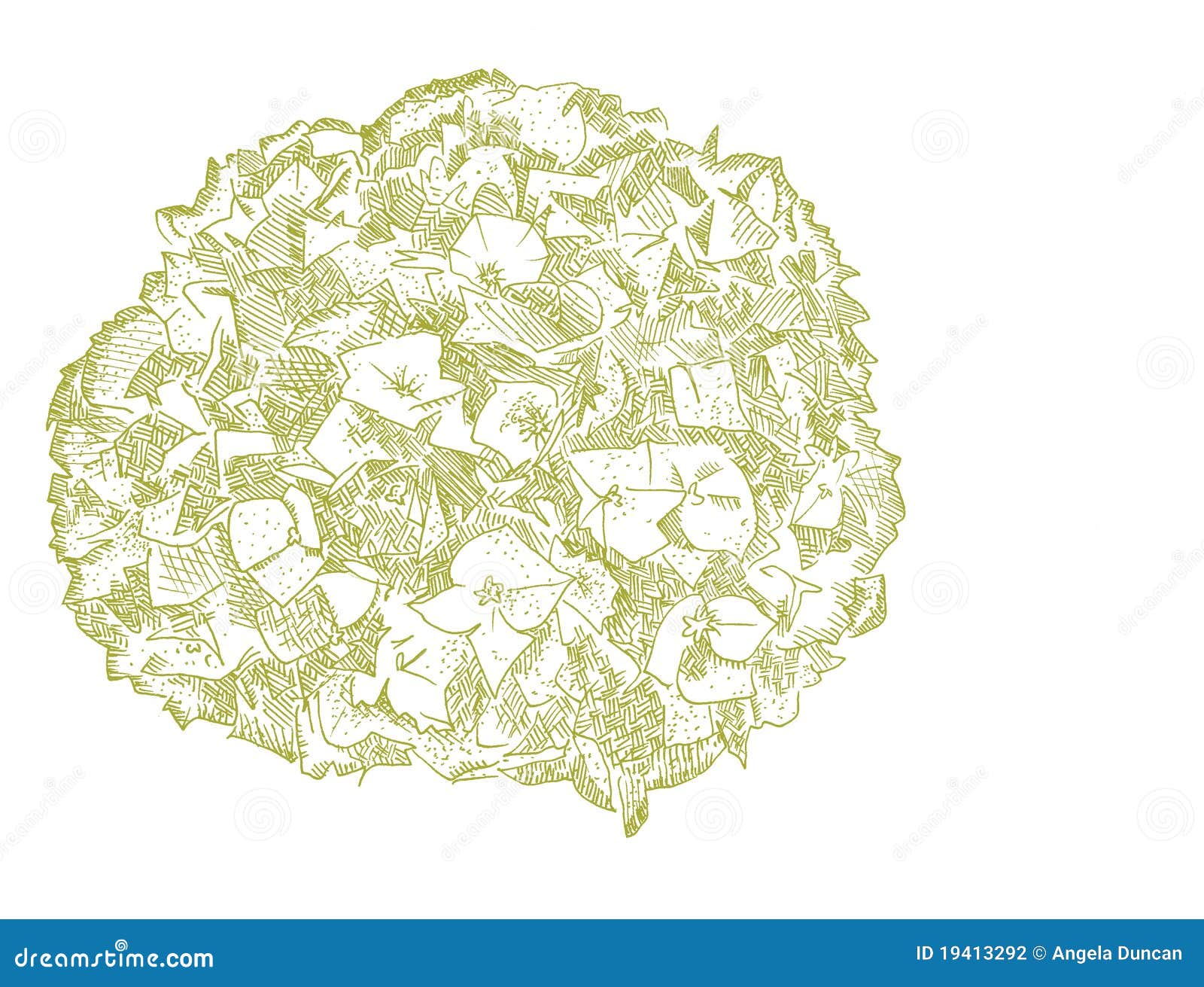 green hydrangea clip art - photo #47