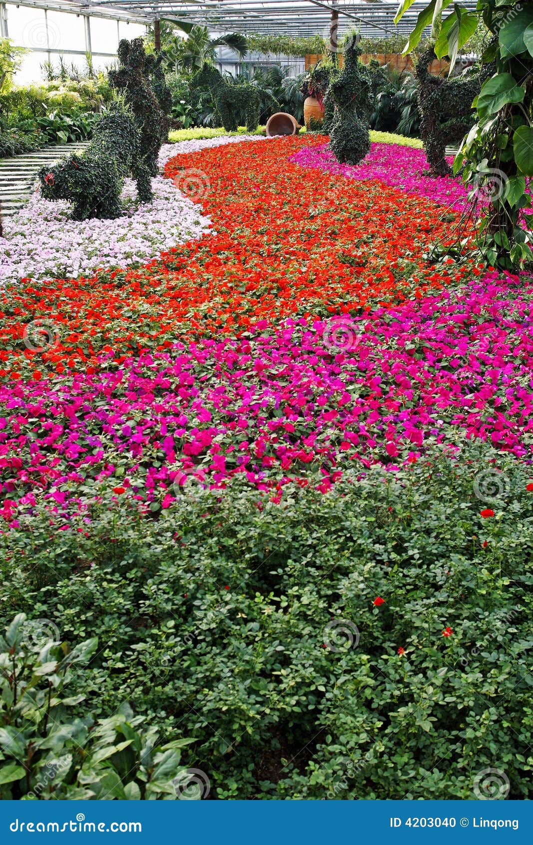 Flower in the greenhouse. stock photo. Image of flora 4203040