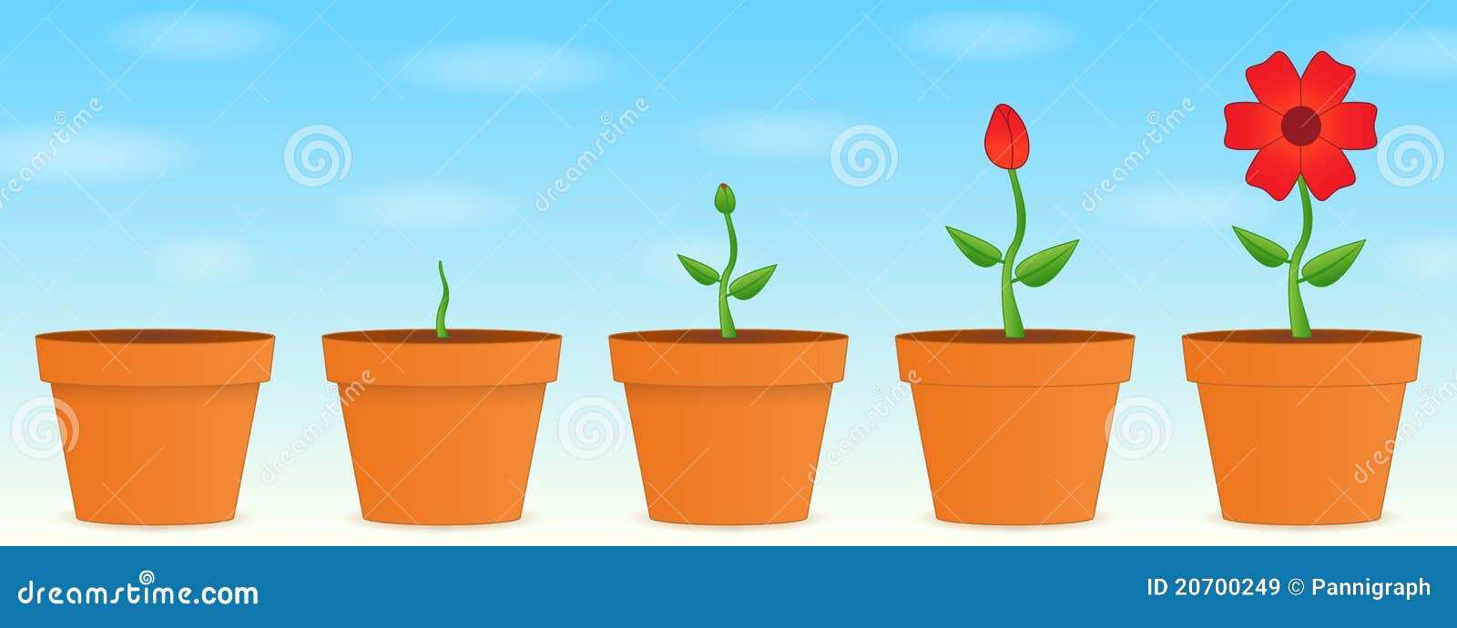 Flower growth stock illustration. Illustration of grow 20700249