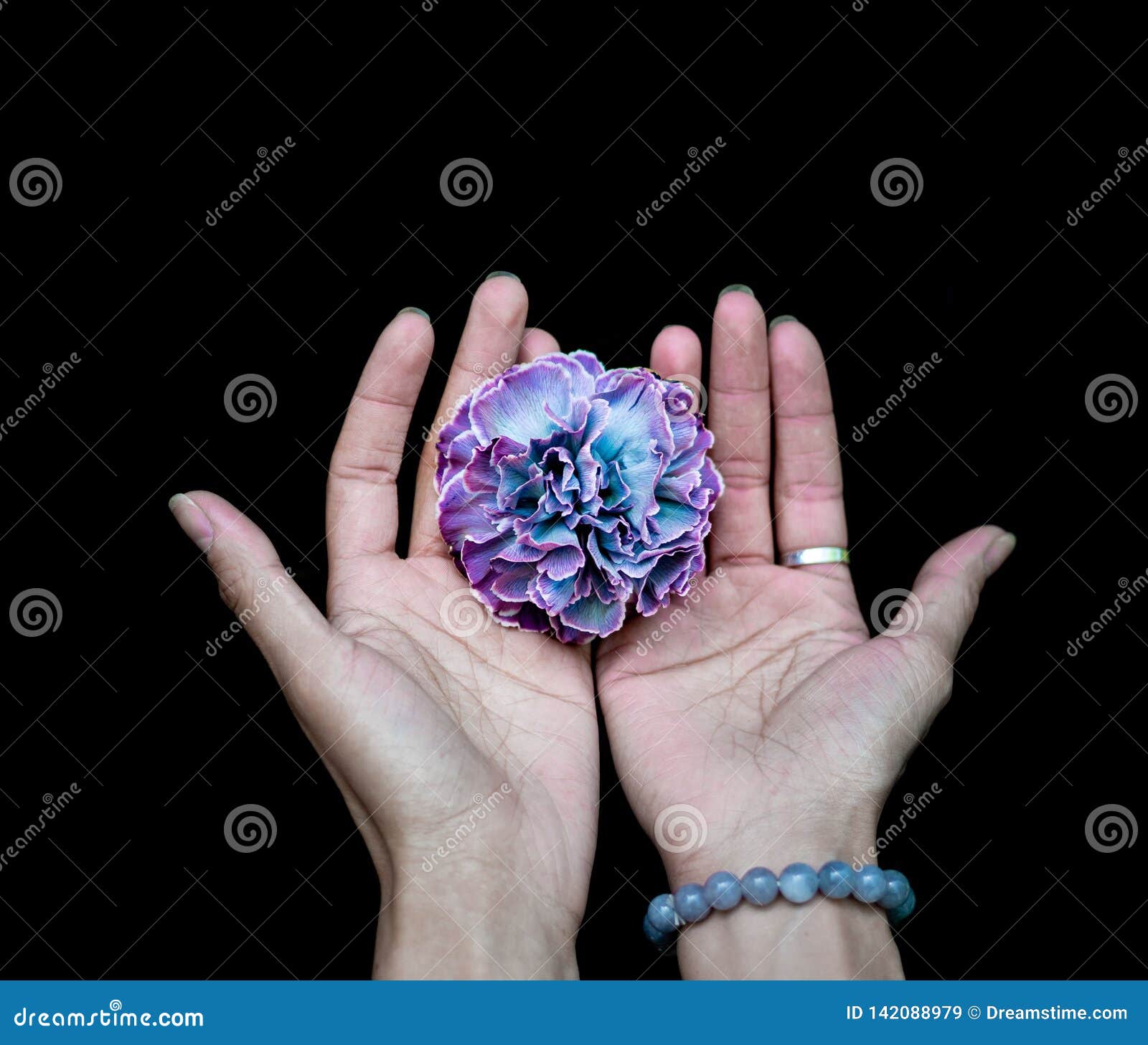 Flower in hand stock image. Image of care, hands, flower 142088979