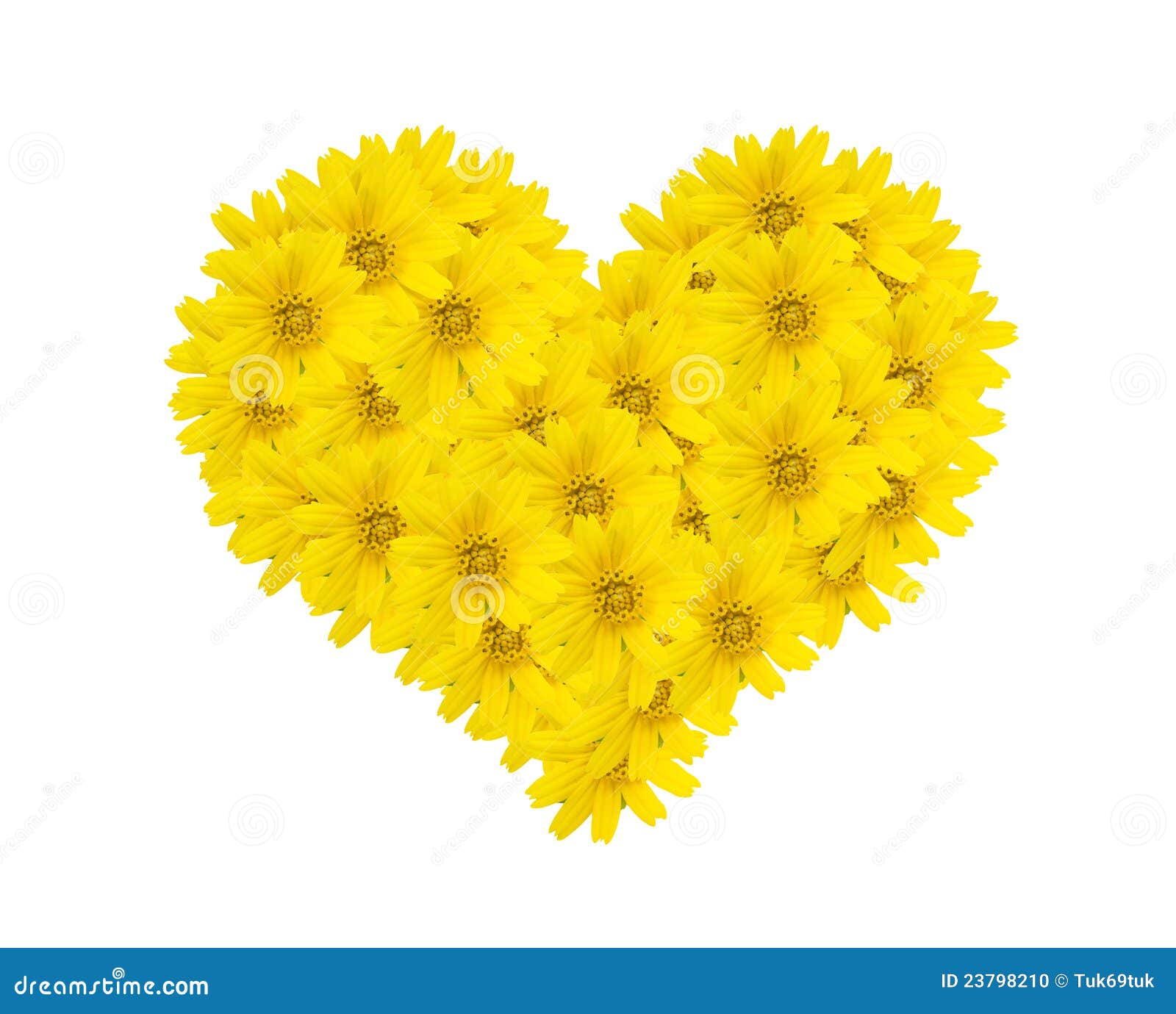 Flower heart stock photo. Image of leaf, beauty, color ...