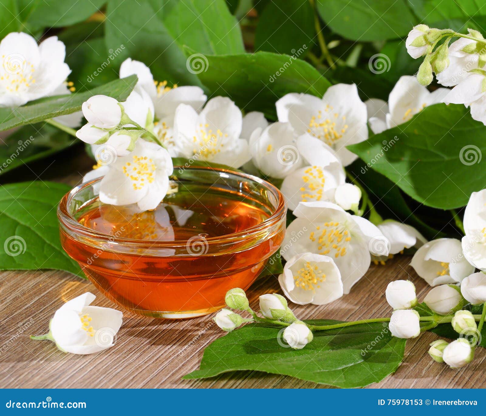Flower Honey and a Blooming Jasmine Stock Image Image of eating, floral 75978153