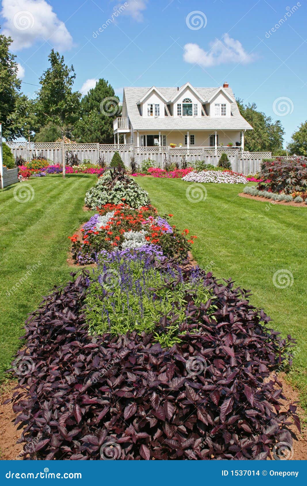 Flower House 2 stock photo. Image of fence, shrubs, shrub 1537014