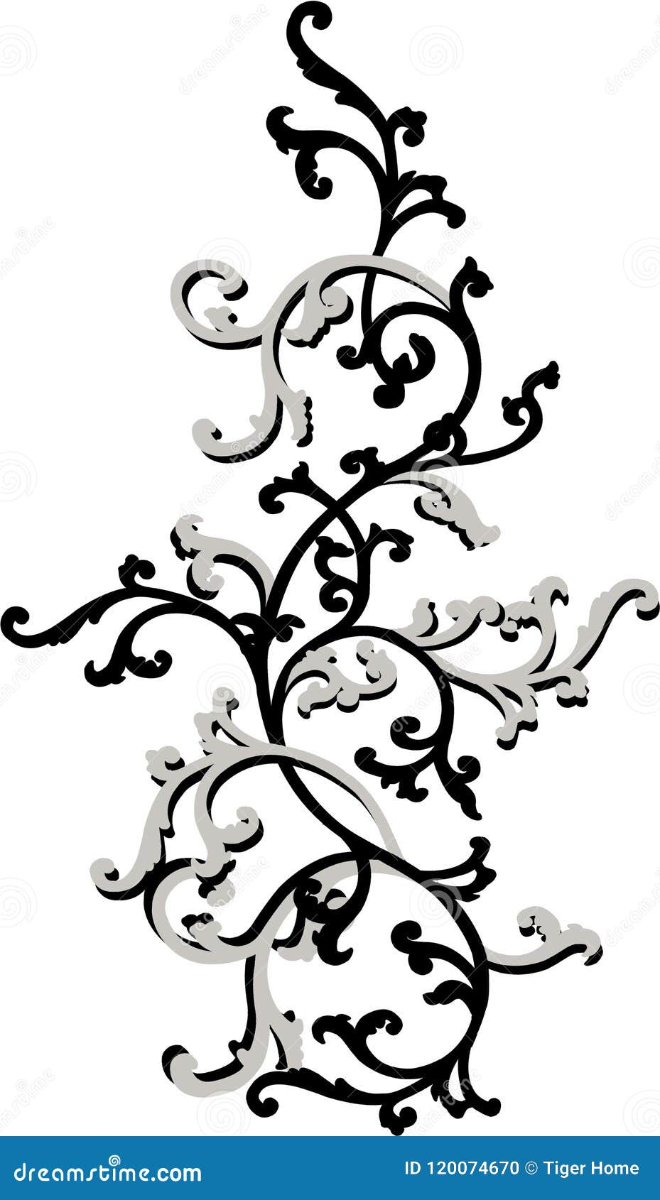 wallpapers Simple Scroll Engraving Patterns dreamstime com