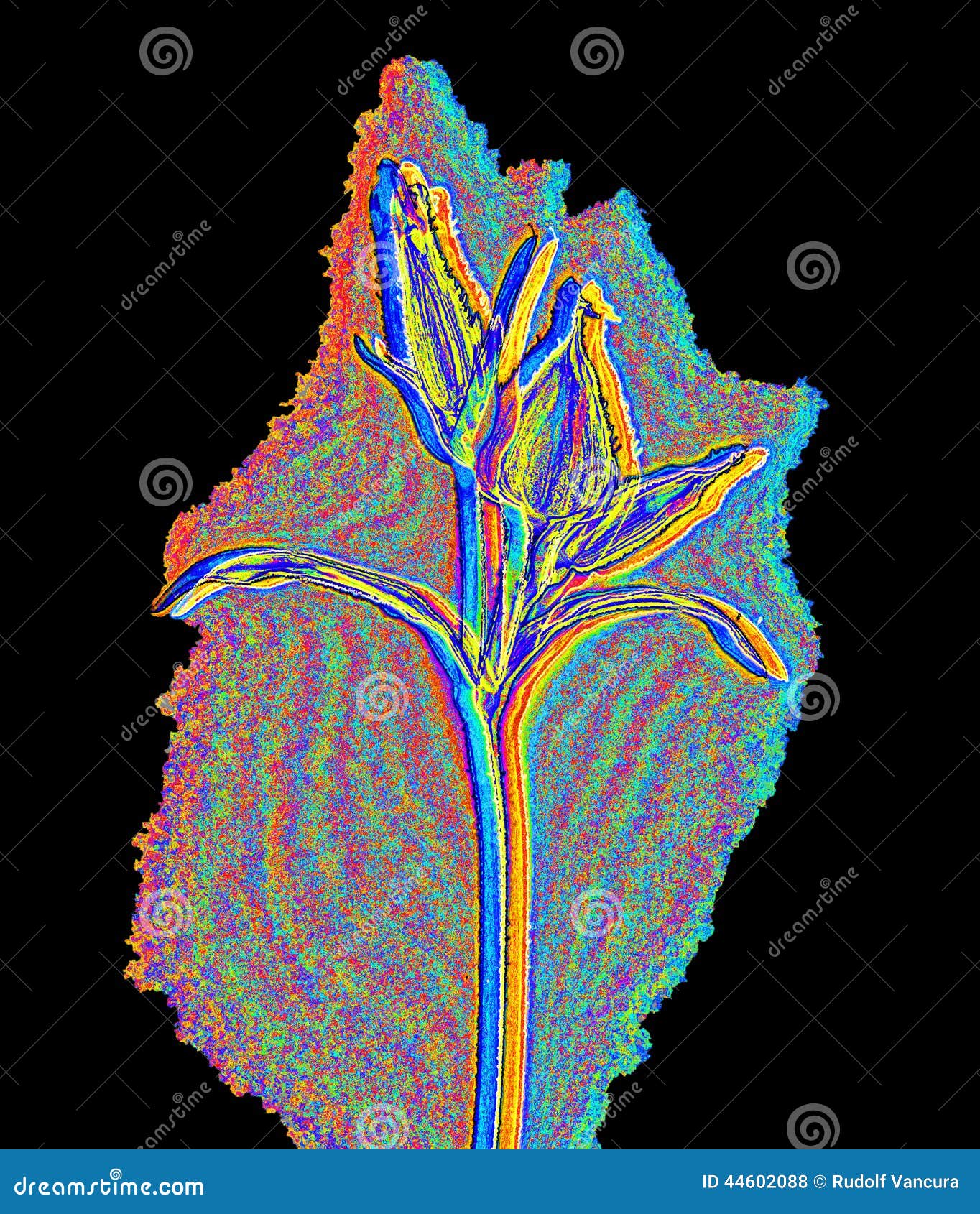 Flower in infrared light stock photo. Image of embossed 44602088