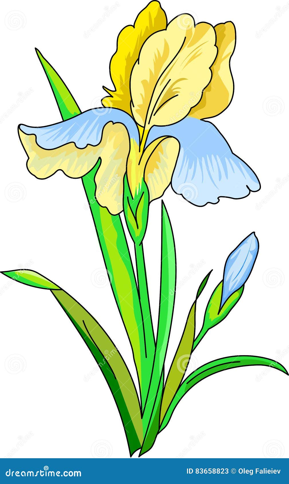 Flower a iris stock illustration. Illustration of shows 83658823