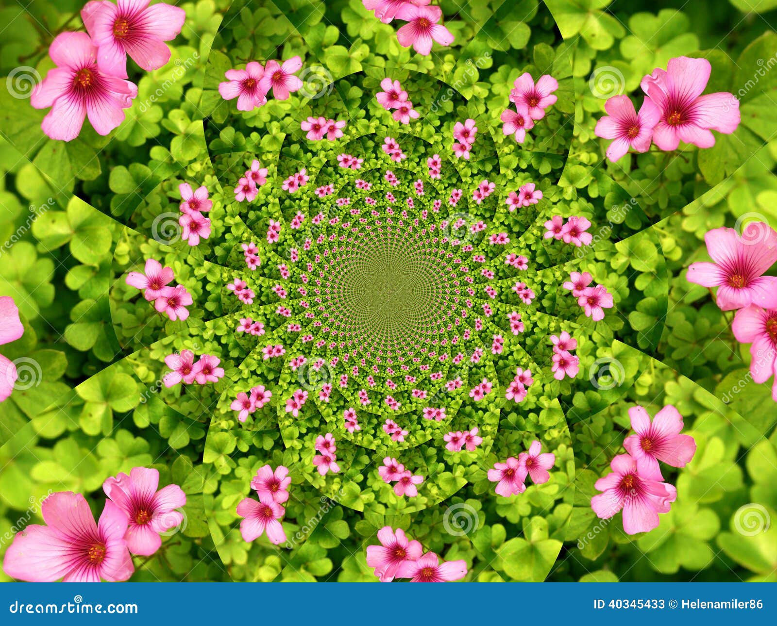 kaleidoscope flowers fayetteville nc kaleidoscope flowers fayetteville nc