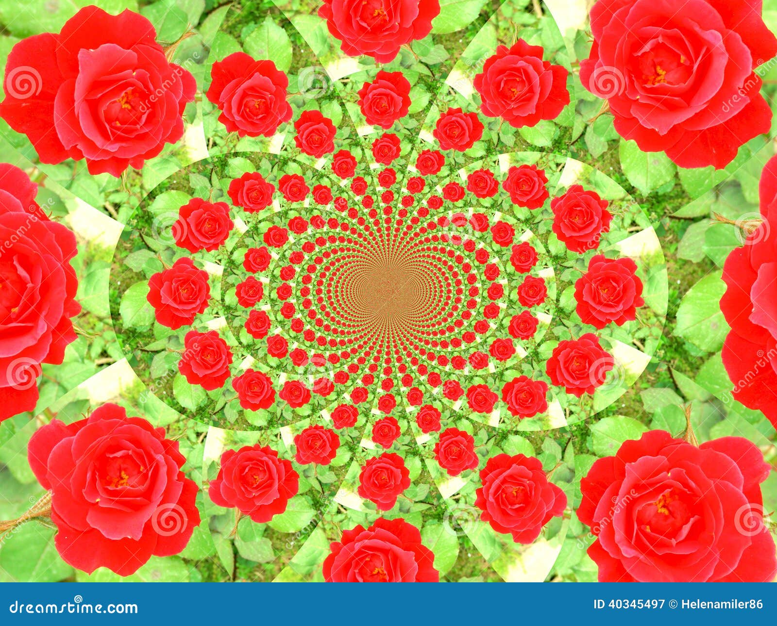 Flower kaleidoscope stock image. Image of flower, meadow 40345497